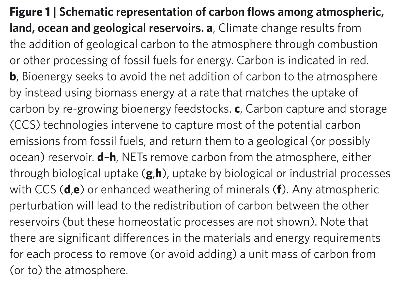 Figure 1:  Schematic representation of carbon flows among atmospheric, land, ocean and geological reservoirs. a, Climate change results from the addition of geological carbon to the atmosphere through combustion or other processing of fossil fuels for energy. Carbon is indicated in red. b, Bioenergy seeks to avoid the net addition of carbon to the atmosphere by instead using biomass energy at a rate that matches the uptake of carbon by re-growing bioenergy feedstocks. c, Carbon capture and storage (CCS) technologies intervene to capture most of the potential carbon emissions from fossil fuels, and return them to a geological (or possibly ocean) reservoir. d–h, NETs remove carbon from the atmosphere, either through biological uptake (g,h), uptake by biological or industrial processes with CCS (d,e) or enhanced weathering of minerals (f). Any atmospheric perturbation will lead to the redistribution of carbon between the other reservoirs (but these homeostatic processes are not shown). Note that there are significant differences in the materials and energy requirements for each process to remove (or avoid adding) a unit mass of carbon from (or to) the atmosphere.
