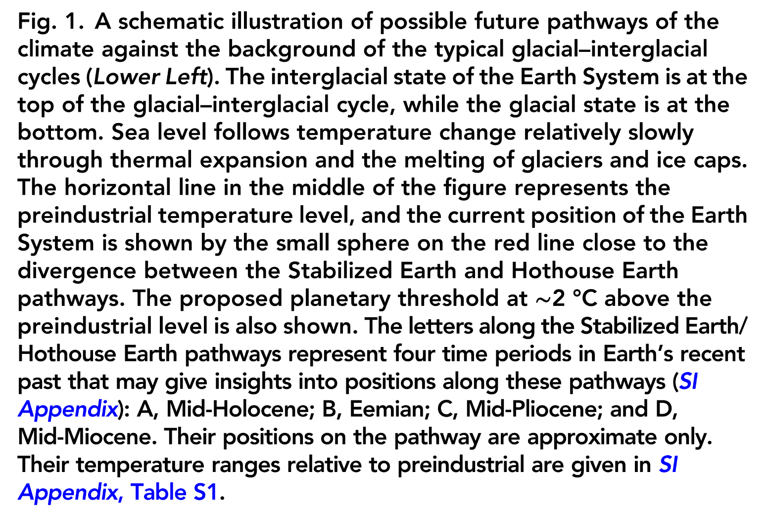 Fig. 1: A schematic illustration of possible future pathways of the climate against the background of the typical glacial–interglacial cycles (Lower Left). The interglacial state of the Earth System is at the top of the glacial–interglacial cycle, while the glacial state is at the bottom. Sea level follows temperature change relatively slowly through thermal expansion and the melting of glaciers and ice caps. The horizontal line in the middle of the figure represents the preindustrial temperature level, and the current position of the Earth System is shown by the small sphere on the red line close to the divergence between the Stabilised Earth and Hothouse Earth pathways. The proposed planetary threshold at approximately 2 degrees Celsius above the preindustrial level is also shown. The letters along the Stabilised Earth/ Hothouse Earth pathways represent four time periods in Earths recent past that may give insights into positions along these pathways (SI Appendix): A, Mid-Holocene; B, Eemian; C, Mid-Pliocene; and D, Mid-Miocene. Their positions on the pathway are approximate only. Their temperature ranges relative to preindustrial are given in SI Appendix, Table S1.