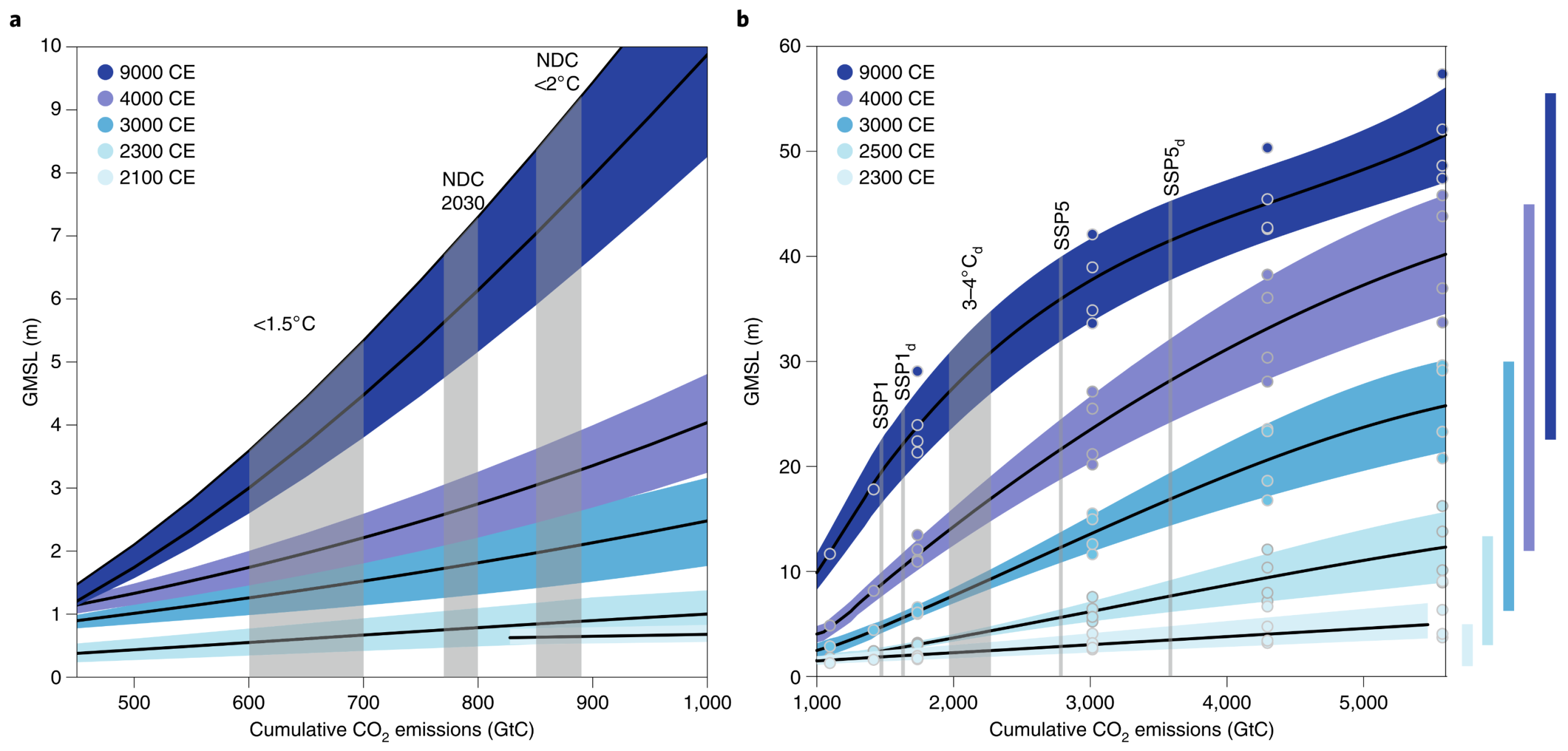 A two-part line graph illustrating Global mean sea level as a function of cumulative carbon emissions. Panel A displays cumulative carbon emissions from 450 to 1000 Gigatonnes of Carbon on the horizontal axis and sea level rise from 0 to 10 metres on the vertical axis. Five curves in increasingly dark shades of blue represent projections for the years 2100, 2300, 3000, 4000, and 9000 CE. The 2100 CE line remains relatively flat under 1 metre, whilst the 9000 CE line curves steeply upwards, reaching 10 metres. Vertical grey bands mark specific scenarios labelled less than 1.5 degrees Celsius, NDC 2030, and NDC less than 2 degrees Celsius. Panel B extends the horizontal axis from 1000 to 5600 Gigatonnes of Carbon and the vertical axis from 0 to 60 metres. It displays similar projection curves for the years 2300, 2500, 3000, 4000, and 9000 CE. The highest curve for 9000 CE projects a massive sea level rise exceeding 50 metres at the highest emission levels. Vertical lines mark various modelled scenarios such as SSP1 and SSP5, and a series of vertical blue bars on the far right indicates the spread of uncertainty for each corresponding time point.