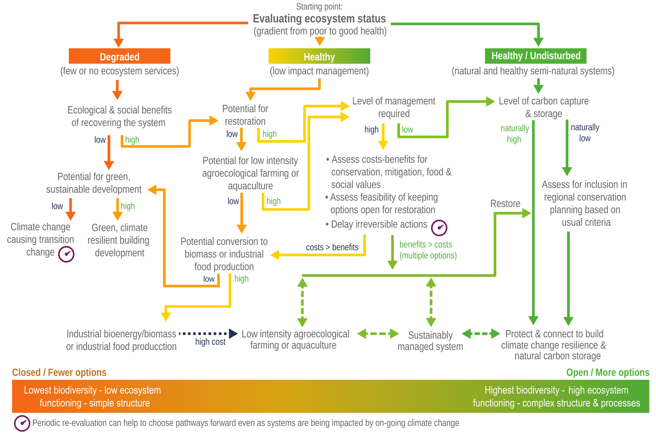 A flowchart illustrating a decision-making framework for natural systems, beginning with a starting point of 'Evaluating ecosystem status.' The chart splits into three main pathways based on a gradient from poor to good health:  Degraded (orange): Assesses the ecological and social benefits of recovery. High potential leads toward restoration or green, climate-resilient building development. Low potential leads to climate change causing transition change.  Healthy (yellow-green): Evaluates the potential for restoration and low-intensity agroecological farming or aquaculture, assessing the required level of management and costs versus benefits.  Healthy / Undisturbed (dark green): Evaluates the level of natural carbon capture and storage. Pathways lead to assessing regional conservation planning, restoring systems, and ultimately protecting and connecting them to build climate change resilience.  A central node emphasises assessing cost-benefits, delaying irreversible actions, and keeping options open. A gradient bar at the bottom demonstrates that pathways leaning toward industrial production result in 'Closed / Fewer options' with low biodiversity (orange), while pathways leaning toward sustainable management and protection provide 'Open / More options' with high biodiversity and complex structures (green). A clock icon placed throughout denotes that periodic re-evaluation helps choose pathways forward.
