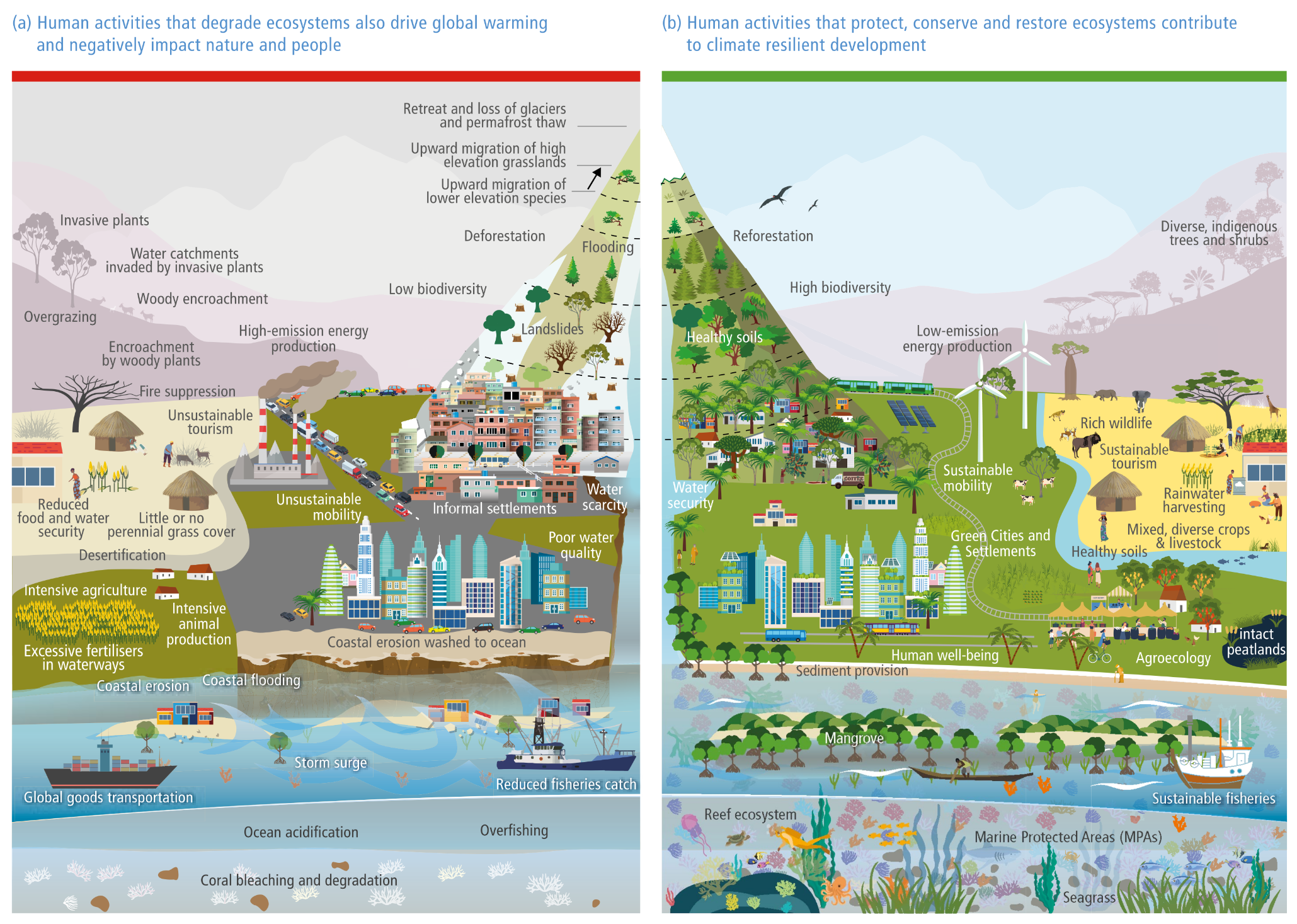 A side-by-side comparative illustration of a cross-section of land spanning from high mountains down to the ocean, showing two contrasting scenarios of human interaction with nature.   Panel a (Left): Titled 'Human activities that degrade ecosystems also drive global warming and negatively impact nature and people.' It depicts a muted, grey and brown landscape suffering from severe degradation. High elevations show retreating glaciers and deforestation, leading to landslides and flooding in densely packed informal settlements. A polluted city features high-emission smokestacks and severe traffic congestion. Rural areas are plagued by desertification, overgrazing, invasive plants, and intensive agriculture with excessive fertiliser runoff. The ocean is marked by coastal erosion, coral bleaching, acidification, and overfishing, heavily trafficked by global shipping vessels.   Panel b (Right): Titled 'Human activities that protect, conserve and restore ecosystems contribute to climate resilient development.' It depicts a vibrant, thriving, and green landscape. The mountains feature reforestation, high biodiversity, and healthy soils. The urban area is transformed into 'Green Cities and Settlements' utilising sustainable mobility (like passenger trains) and low-emission energy (wind turbines and solar panels). Rural areas demonstrate sustainable tourism, agroecology, mixed diverse crops and livestock, and intact peatlands. The coastal and ocean environments flourish with healthy mangroves, vibrant reef ecosystems, seagrass, marine protected areas (MPAs), and sustainable fisheries.