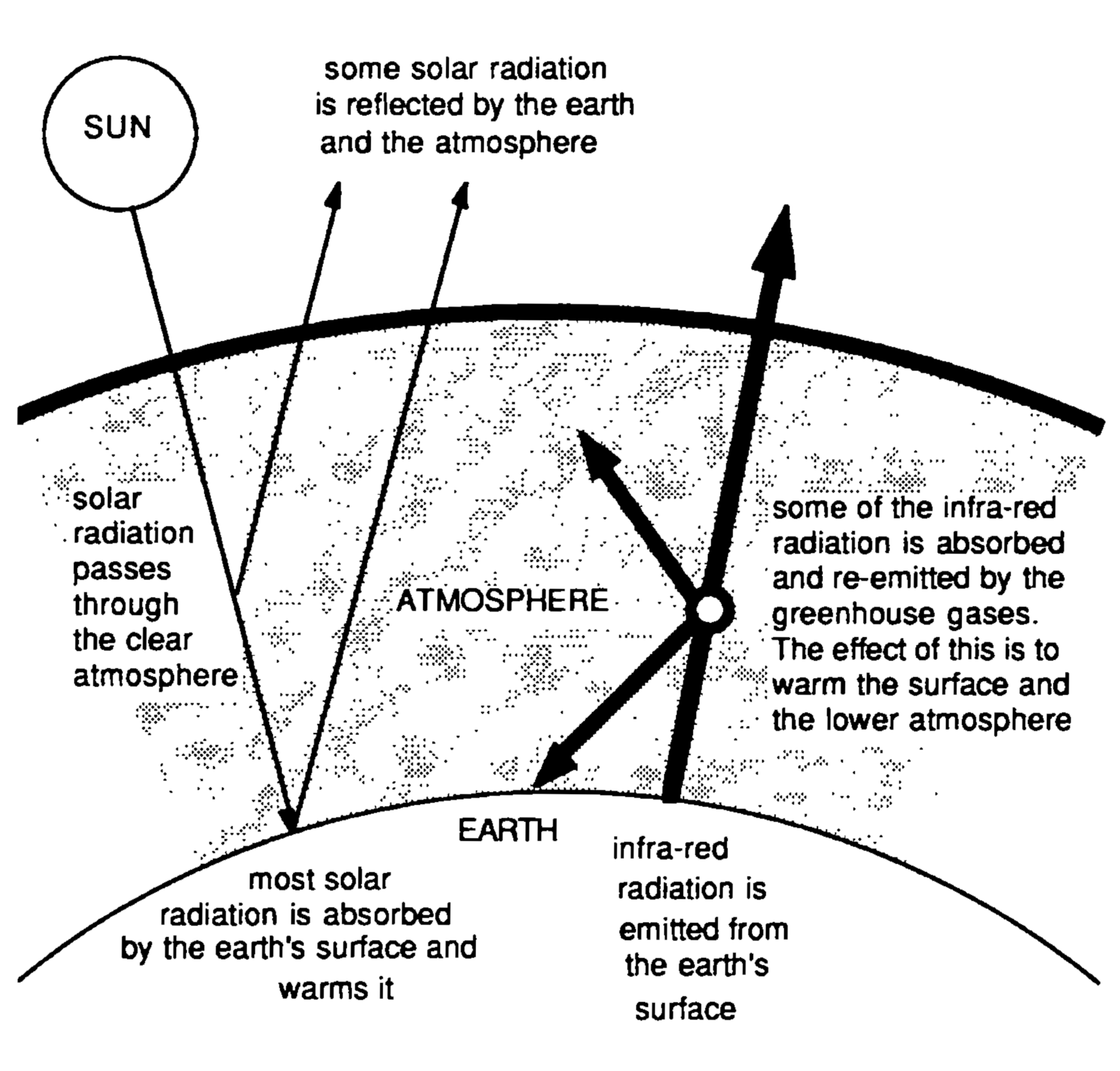 A black-and-white diagram illustrating the greenhouse effect. A circle in the top left labelled SUN emits solar radiation downwards. Arrows demonstrate that while some solar radiation is reflected back into space by the Earth and the atmosphere, most of it passes through the clear atmosphere and is absorbed by the surface of the Earth, warming it. On the right side, a thick arrow pointing upwards indicates that infra-red radiation is emitted from the surface of the Earth. As this infra-red radiation travels upwards through a stippled band representing the ATMOSPHERE, a central node splits the arrow into multiple directions, including back down towards the ground. An accompanying label explains that some of the infra-red radiation is absorbed and re-emitted by the greenhouse gases, and the effect of this is to warm the surface and the lower atmosphere.